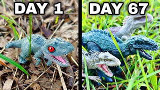 Simulating An INDOMINUS REX Colony For 100 Days with Jurassic World Toys