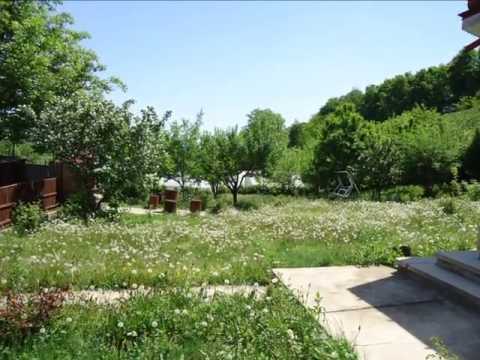 Vila de Vanzare Bacau- Hemeiusi- 167 mp- Imobiliare Bacau