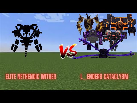 Elite Wither Vs. L Ender's Cataclysm