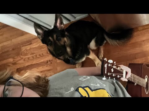 Cover of party favor by Billie Eilish