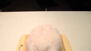 Como descongelar um frango