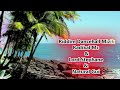 Riddim Dancehall Mizik Radikal Mc Lord Stephane Natural Guî
