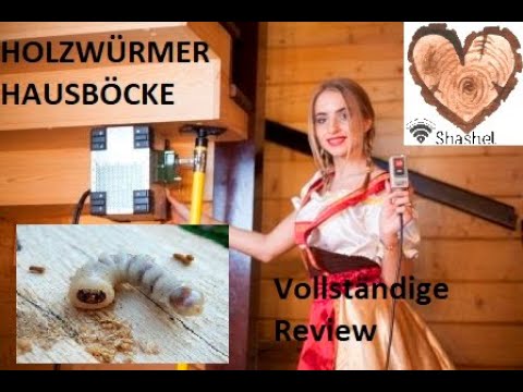 Mikrowellenanlage Shashel gegen HOLZWÜRMER/HAUSBÖCKE! Vollständige Review.