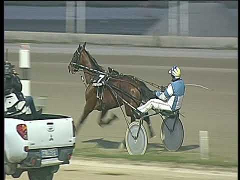 Trotto 02/03/2018 - 7ª corsa