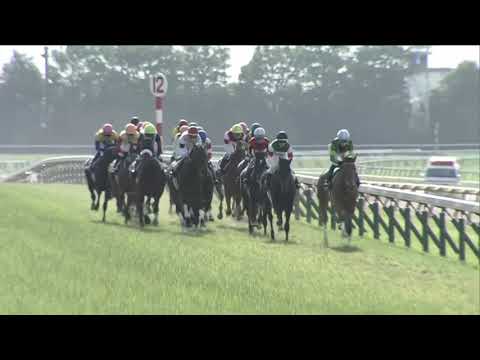 2019 Yushun Himba (Japanese Oaks) International Group 1 2400m