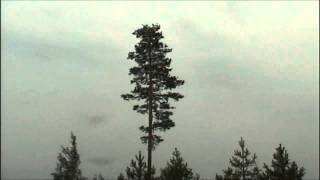preview picture of video 'Ukkonen 2006 Vuokatin lounaispuolella, erityisen kovia jyrähdyksiä'
