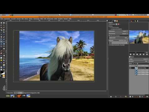 Gimp Tutorial - Pferd freistellen Teil 1