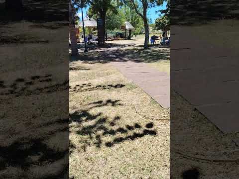 termas del dayman                      ubicado en :salto    de lo recomiendo