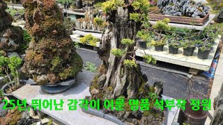 25년, 뛰어난 감각이 이룬 수백개의 명품 석부작 정원