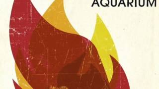 American Aquarium - Casualties (Studio Version)
