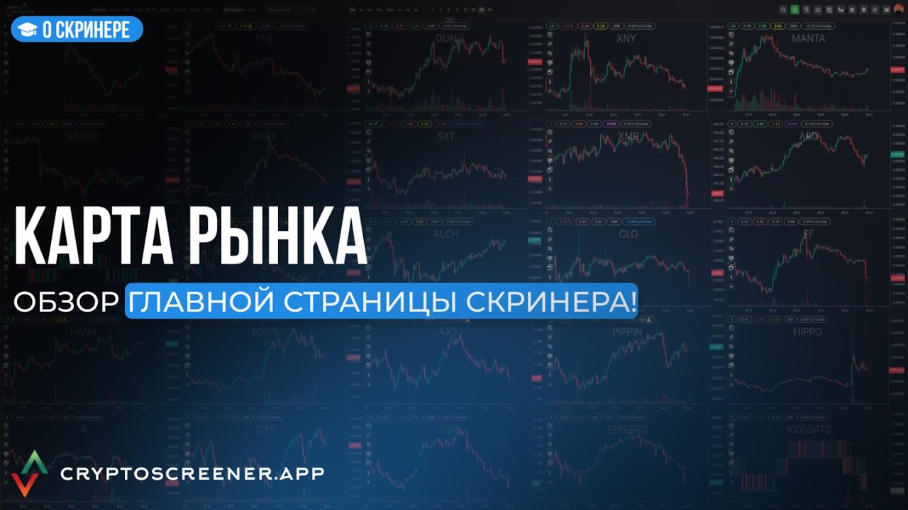 Подробный обзор раздела: "Карта рынка". Незаменимый инструмент трейдера для поиска активных монет!