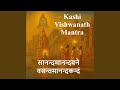 Kashi Vishwanath Jyotirling Mantra (सानन्दमानन्दवने...