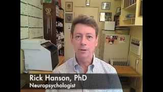 The Brain Science of Optimism - with Rick Hanson, PhD