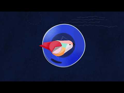 Nitai Hershkovits - Explaining Sage