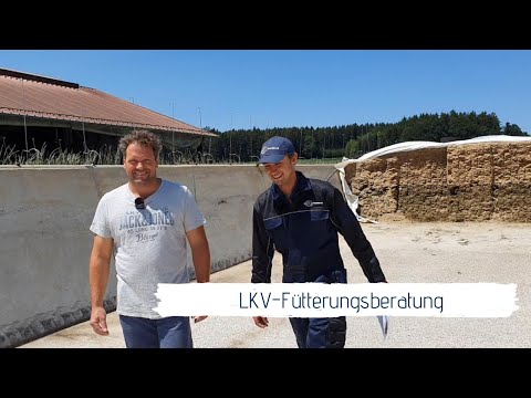 LKV-Fütterungsberatung