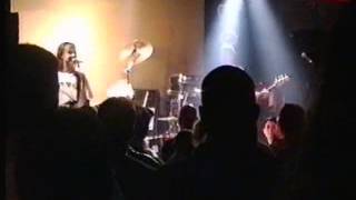 Pansy Division - I Wish I'd Taken Pictures