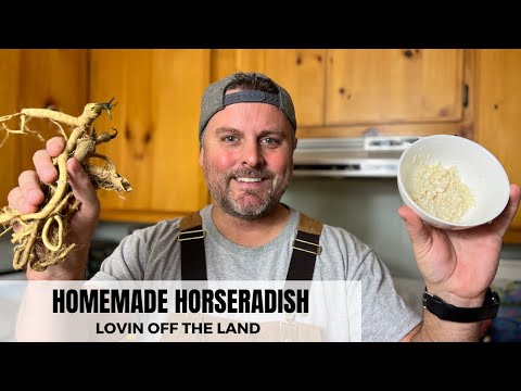 HOMEMADE HORSERADISH // MAKE IT AS SPICY AS YOU WANT IT