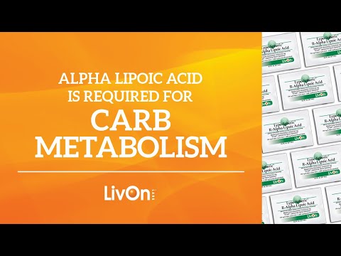 LIVON Lypo-Spheric Acetyl L-Carnitine | Supports Muscle Recovery - 30  Sachets Price in India - Buy LIVON Lypo-Spheric Acetyl L-Carnitine |  Supports Muscle Recovery - 30 Sachets online at Flipkart.com