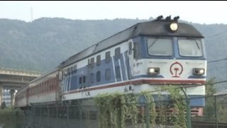 preview picture of video '[China Railway]DF4D Train No.K8556 Passing Wenzhou Shuangyu 金温線K8556次温州双嶼通過'