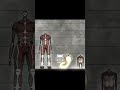 Attack On Titan Edit Part 2 Attackontitanedit Titans Eren Anime