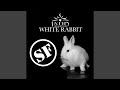 White Rabbit (Soundfactory Club Mix)