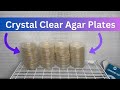 My Favorite Recipe for Making Agar Plates Full Tutorial