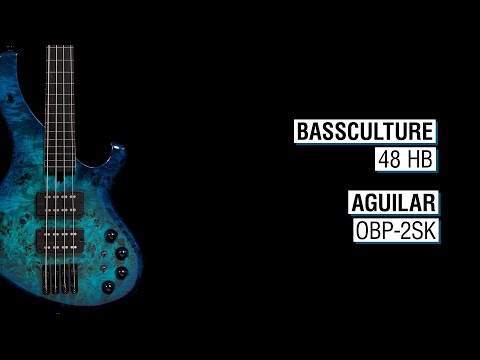 Bassculture 48 HB + Aguilar OBP-2SK - Frog 4a Fretless