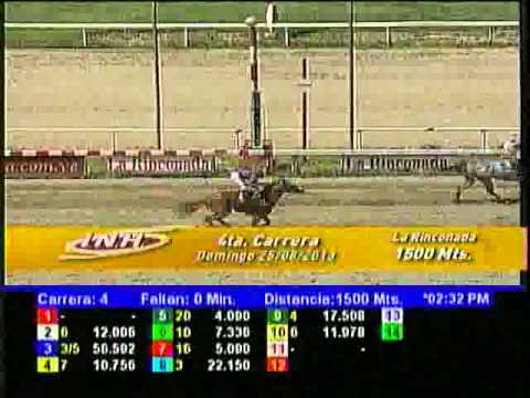 Resumen Domingo, 25 de Agosto de 2013 - La Rinconada