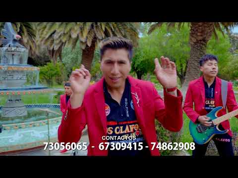 Los Clavos De Amor │Cervecita│ Primicia 2020 - Fanton Studios☑️