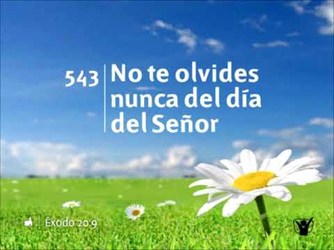 543 🌻 No te olvides nunca del día del Señor #INSTRUMENTAL