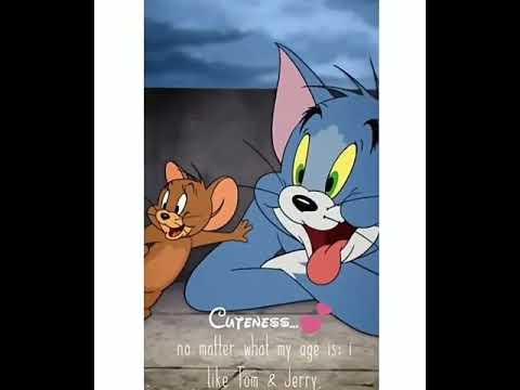 download tom and jerry videos mp4 download tom and jerry videos mp4