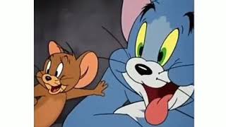 Tom and Jerry WhatsApp status