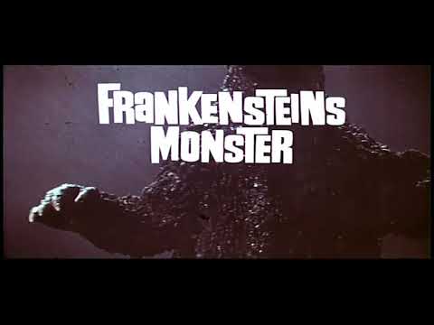 German Godzilla titles (Partial)