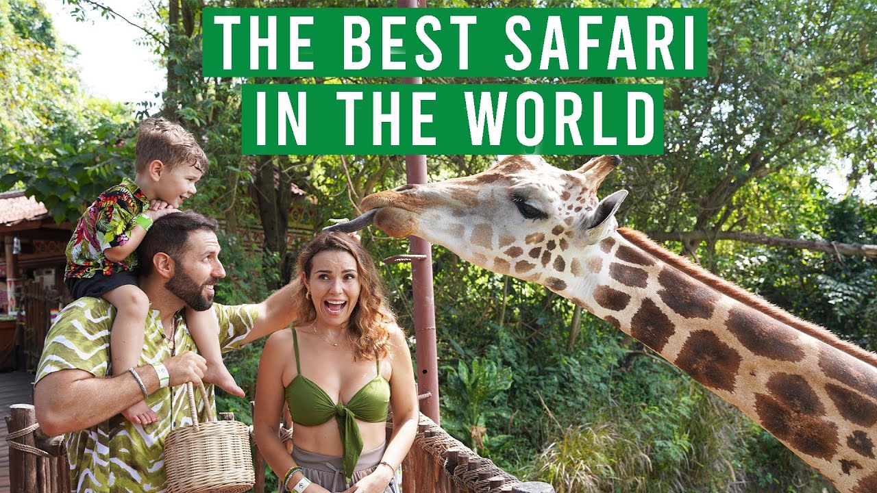 Experience the exhilarating adventure of Bali Safari & Marine Park, a must-visit for all tourists!