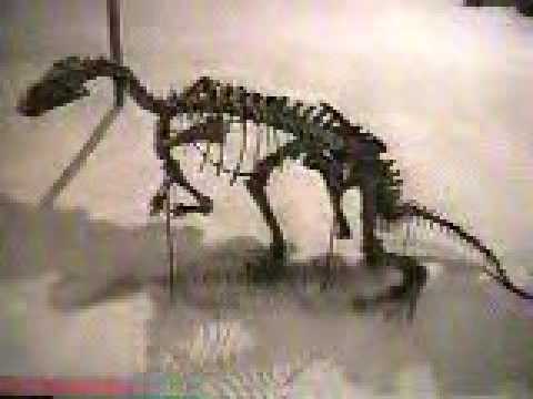 Smithsonian 1995 Part 1