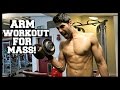 COMPLETE ARM WORKOUT FOR MASS | BICEPS & TRICEPS