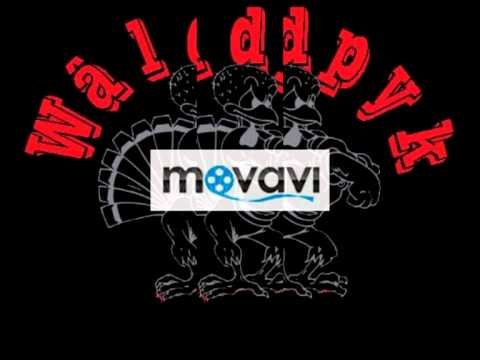 DJ waldpyk - you can't touch this duck sauce