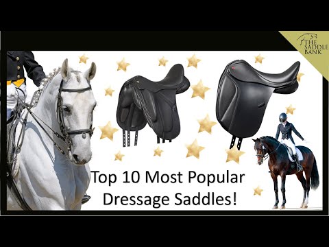 Top 10 Most Popular Dressage Saddles - Which one do you ride in?