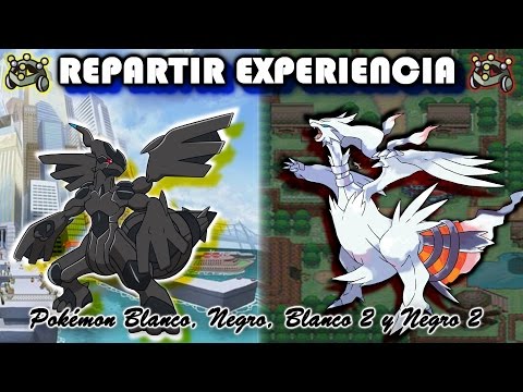 How to Get TWO EXP SHARES in Pokémon White, Black, White 2, and Black 2