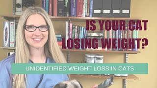 Is Your Cat Losing Weight? Unidentified Weight Loss in Cats | Ask Dr. Angie