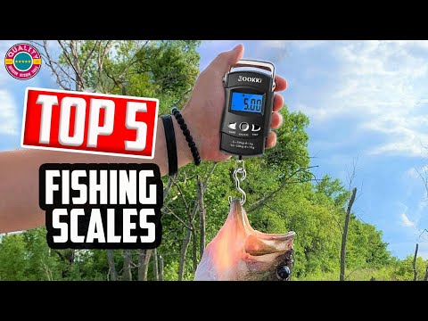 Best Fishing Weighing Scales !! Latest Fish Scales 2023