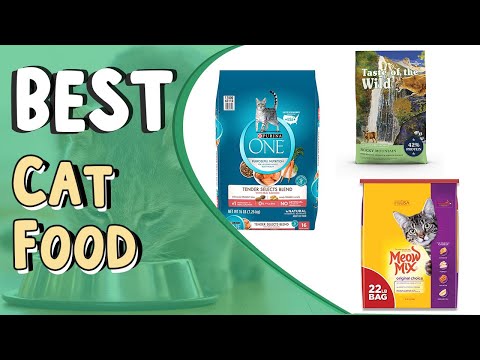 Top 5 Best Cat Food for Kittens | Cat Food for Indoor Cats Vet Recommended _ Cat Food,