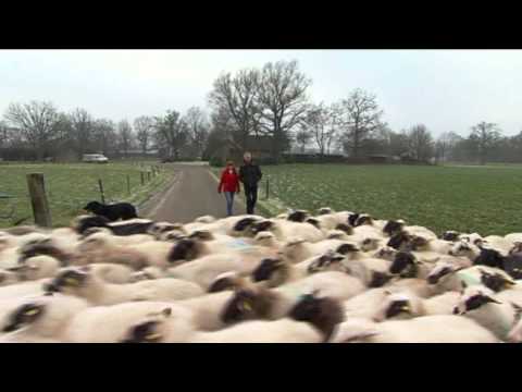 BuitenGewoon Winter 2008