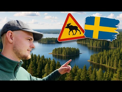 SKANDINAVIEN-Roadtrip in 11 Tagen?! Camper-Abenteuer in Schweden! 🇸🇪🫎😍