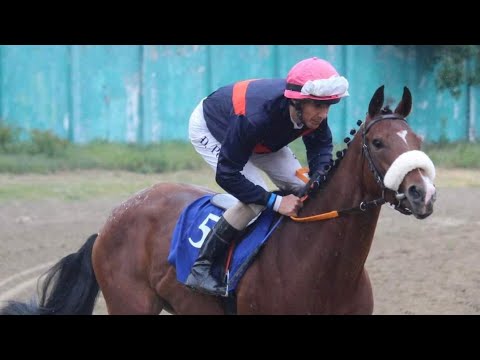 Trka "Careva Ćuprija 2024" Hipodrom Beograd - Pompea Fiore & Đorđe Perović