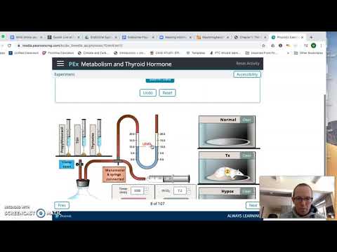 Endocrine Phys Lab Activity 1 Thyroid Hormone Tutorial