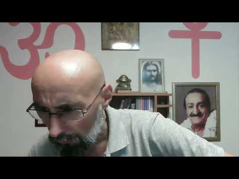 DA LI JE KARMIČKA POSLEDICA KADA LjUDI NEMAJU DECU, + (124) DUHOVNA ŠKOLA - Steva Plavšić - Novi Sad