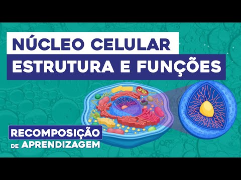 NÚCLEO CELULAR: estrutura e funções | Biologia | Recomposição de Aprendizagem | Cláudia Souza Aguiar