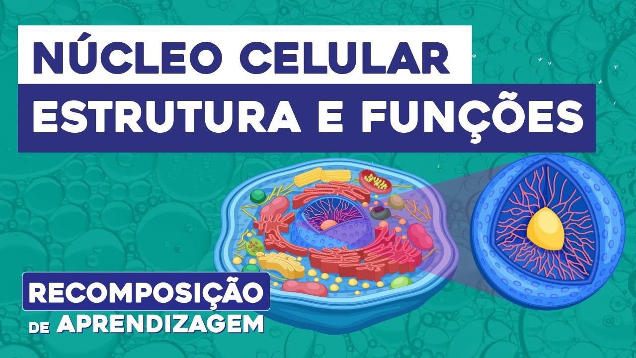 NÚCLEO CELULAR: estrutura e funções | Biologia | Recomposição de Aprendizagem | Cláudia Souza Aguiar
