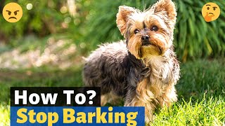 How to Stop Yorkshire Terrier from barking at night?